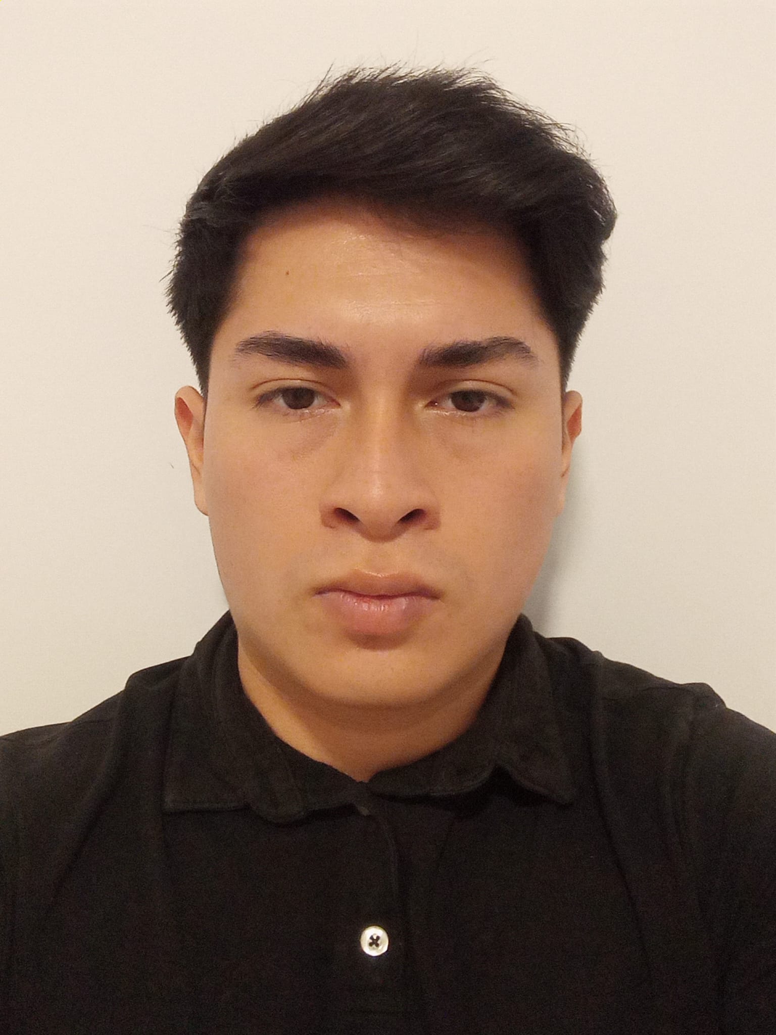 Gustavo Adolfo Vargas Benítes