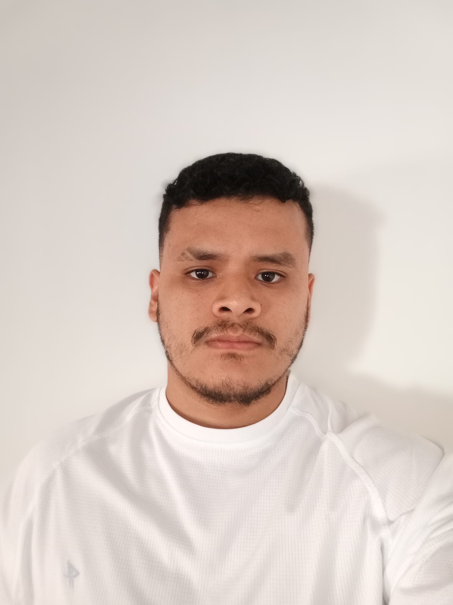 Renzo Bravo Silva
